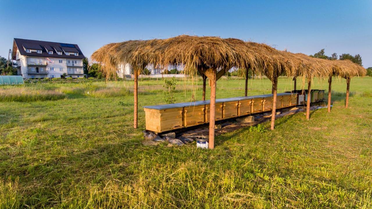 Agroturystyka Sikorki Lubomierz  Exterior foto